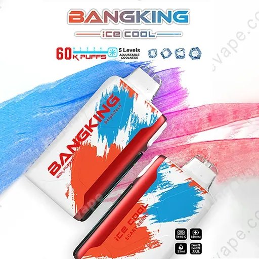 Vaper desechable BANG KING ICE COOL 60000 puffs sabor Scary Berry