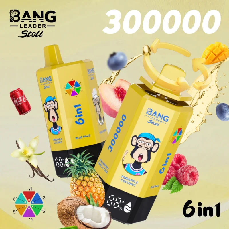 Bang Leader Stoll 300K – vista del producto